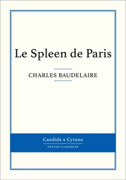 Le Spleen de Paris