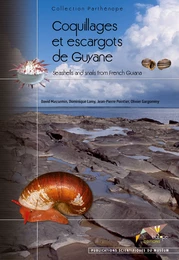 Coquillages et escargots de Guyane