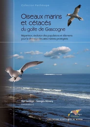 Oiseaux marins et cétacés du golfe de Gascogne