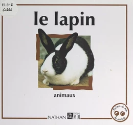 Le lapin