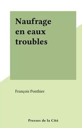 Naufrage en eaux troubles