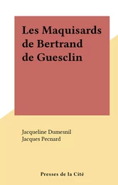 Les Maquisards de Bertrand de Guesclin