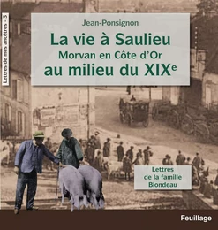 La vie à Saulieu en Morvan (Côte-d'Or) au milieu du XIXe siècle