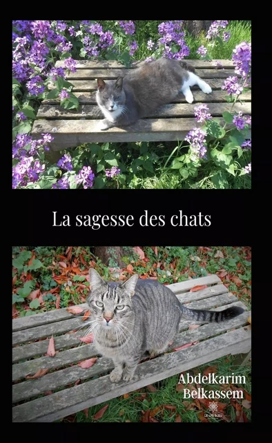 La sagesse des chats - Abdelkarim Belkassem - Le Lys Bleu Éditions