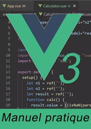 Vue.js 3 par la pratique