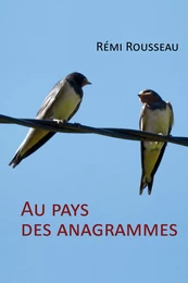 Au pays des anagrammes