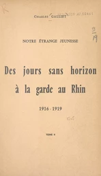 Notre étrange jeunesse (2). Des jours sans horizon à la garde au Rhin, 1916-1919