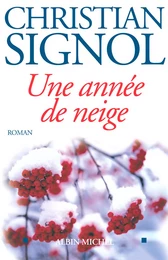 Une année de neige