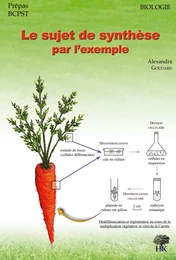 Le sujet de synthèse par l'exemple