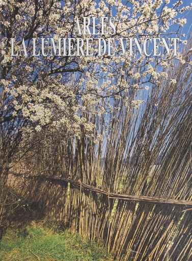 Arles, la lumière de Vincent - Daniel Bounias, Jean-Luc Siegel - FeniXX réédition numérique