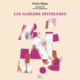 Les garçons interludes