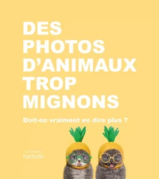 Des photos d'animaux trop mignons