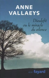 Dieulefit ou le miracle du silence