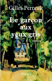 Le garçon aux yeux gris