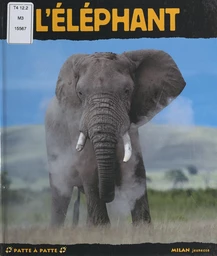 L'éléphant