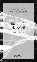 Échappée de soleil