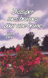 Dissiper mes brumes pour une brune