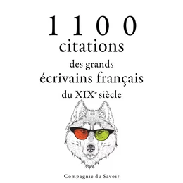 1100 citations des grands écrivains français du XIXe siècle