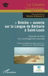 "Brèche" ouverte sur la Langue de Barbarie à Saint-Louis