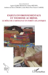 Enjeux environnementaux et tourisme au Brésil