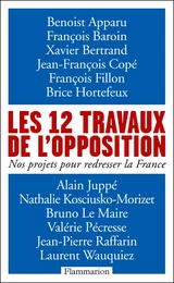 Les 12 travaux de l'opposition