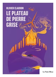 Le plateau de pierre grise