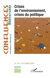 Crises de l'environnement, crises du politique