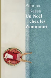 Un Noël chez les Zemmouri