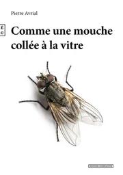 Comme une mouche collée a la vitre