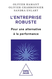 L' Entreprise robuste